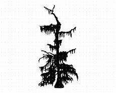 Image result for Cypress Tree Trunck with Branches Clip Art