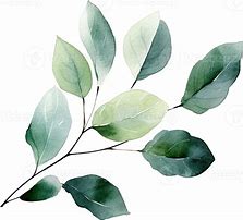 Image result for Watercolor Leaves Background Wallpaper Microsoft