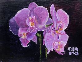 Image result for Orchid Painting Keene NH