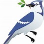 Image result for Blue Jay Bird Drawing