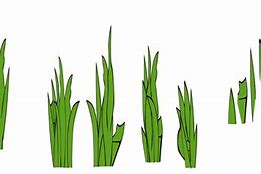 Image result for Grass Blades Clip Art