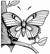 Image result for Branch Coloring Page for Kids