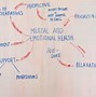 Image result for Mental Health Concept Map