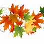 Image result for Transparent Fall Leaf Border