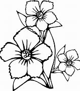 Image result for Floral Adult Coloring Pages