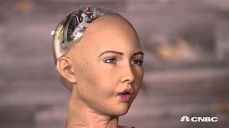 Image result for Personal Robot Woman