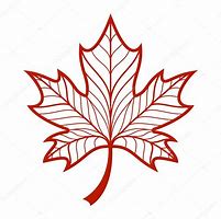 Image result for Vector Legnth Maple