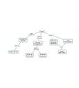 Image result for Animal Concept Map