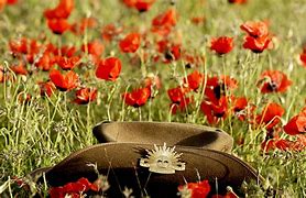 Image result for Anzac Day Poppies