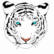 Image result for Bengal Tiger Outline