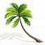 Image result for Palm Tree Vector Illustration