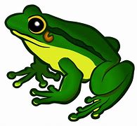 Image result for Clip Art Splasing Frog