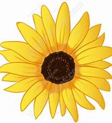 Image result for Sunflower Yellow Flower Clip Art