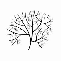 Image result for Branch Illustration