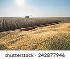 Image result for Fall Harvest Field Corn