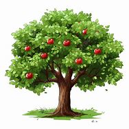 Image result for A Picture of an Apple Tree