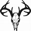 Image result for Deer Skull Side View Clip Art