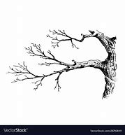 Image result for Vintage Tree Branch Illustration