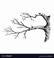 Image result for Branch Illustration