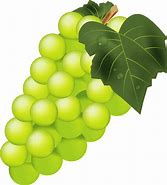 Image result for Grapes Clip Art Free Download