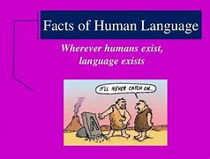 Image result for Types of Human Language