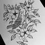 Image result for Beautiful Bird Drawing Outline