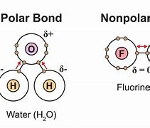 Image result for What Does a Series I Bond Look Like