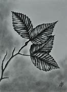 Image result for draw leaf realistic