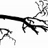 Image result for Halloween Tree Branch