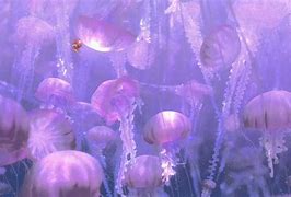 Image result for Finding Nemo Cartoon Characters