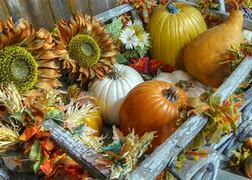 Image result for Fall Harvest Coloring Pages Printable