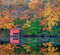 Image result for Fall Colors Desktop