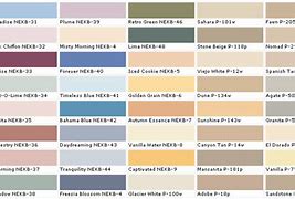 Image result for lowe's paint color samples