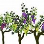 Image result for Wine Vine Border