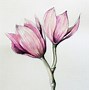 Image result for Flower Pencil Art