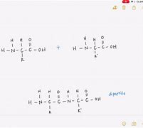 Image result for Diagarm of Dehydration Synthesis for Six Monomers