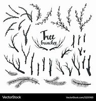 Image result for Vintage Tree Branch Illustration