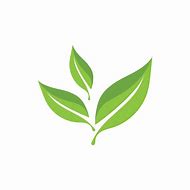 Image result for Leaf Vector Illustration