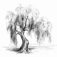 Image result for Willow Tree Bright Star Angel