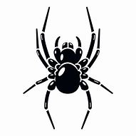 Image result for Spider ICO