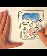 Image result for Plant Cell Coloring Page Printable