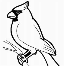 Image result for Cardinal Bird Coloring Pages