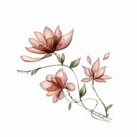 Image result for Transparent Drawing Brown Flowers