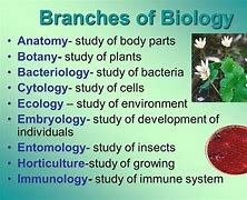 Image result for biology branches science