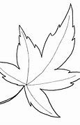 Image result for Maple Leaf Pattern Book