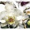 Image result for Orchid Canvas Painting