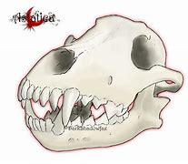 Image result for Wolf Skull Wallpaper