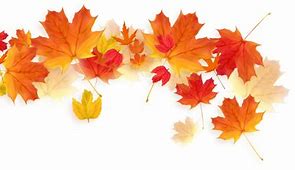 Image result for Fall Leaf Falling