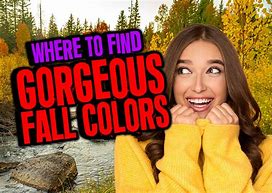 Image result for Bush Fall Colors