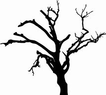 Image result for Burnt Tree Silhouette